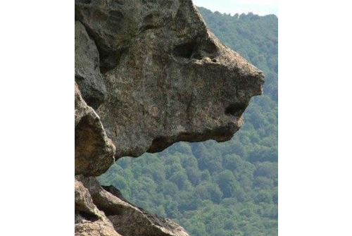 Der Bärenfelsen 